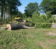 Tree Removal in Chesterfield